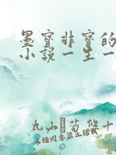 墨宝非宝的全部小说一生一世系列