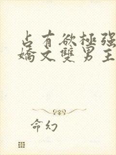 占有欲极强的病娇文双男主小说