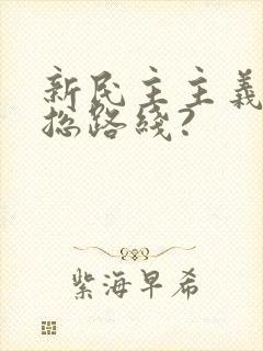 新民主主义革命总路线?