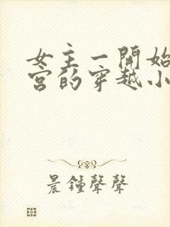 女主一开始在冷宫的穿越小说