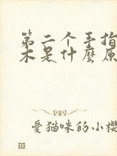 第二个手指头麻木是什么原因