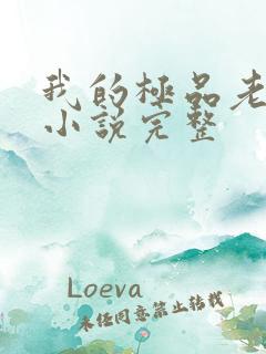 我的极品老婆 小说完整