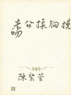 老公揉胸摸下面吻