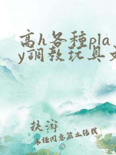 高h各种play调教玩具文