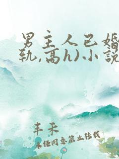 男主人已婚(出轨,高h)小说