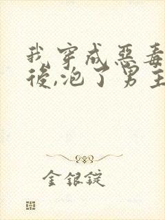 我穿成恶毒女配后,泡了男主 赵殊月