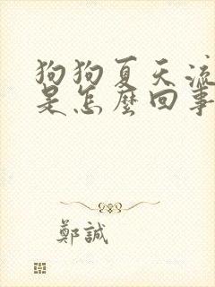 狗狗夏天流口水是怎么回事