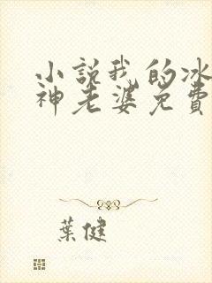 小说我的冰山女神老婆免费阅读