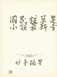 国民校草是女生小说最新章节阅读