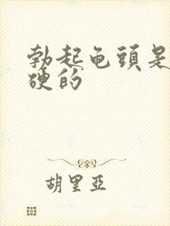 勃起龟头是软的硬的