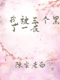 我被三个黑人操了一夜