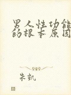 男人性功能不行的根本原因