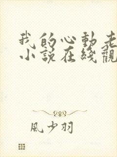 我的心动老板娘小说在线观看