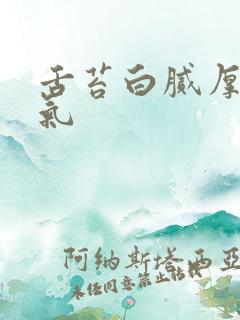 舌苔白腻厚有口气