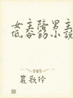 女主陪男主走过低谷的小说