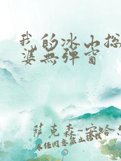 我的冰山总裁老婆无弹窗