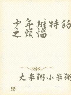 少年维特的烦恼之烦恼