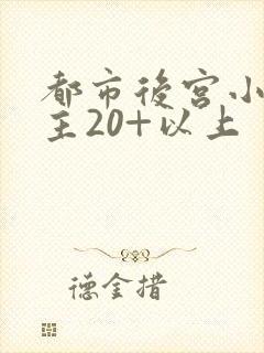 都市后宫小说女主20+以上