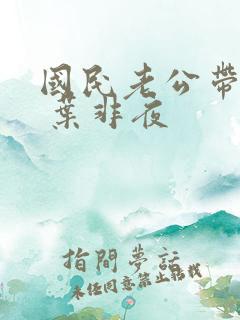 国民老公带回家 叶非夜
