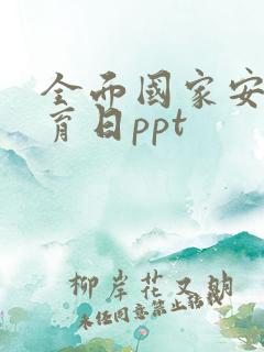 全面国家安全教育日ppt