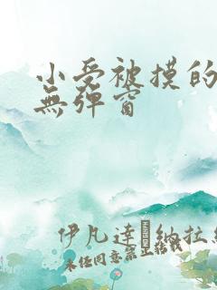 小受被摸的小说无弹窗