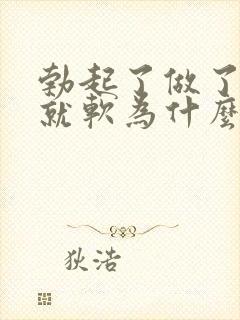 勃起了做了一会就软为什么