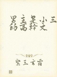男主是小三上位的高干文
