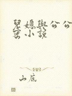儿媳与公公的秘密小说