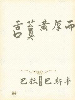 舌苔黄厚而且有口臭