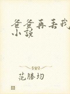 爸爸再丢我一次小说