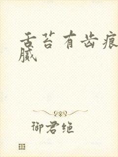 舌苔有齿痕 黄腻