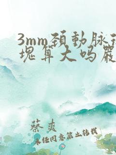 3mm颈动脉斑块算大吗严重吗