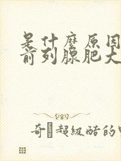 是什么原因引起前列腺肥大