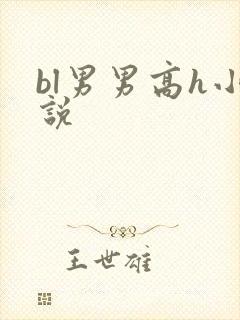 bl男男高h小说