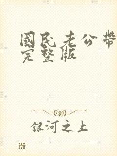 国民老公带回家完整版