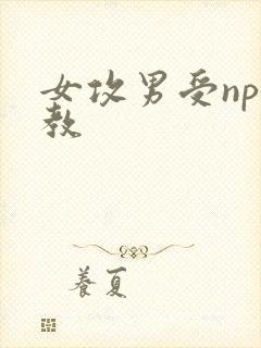 女攻男受np调教