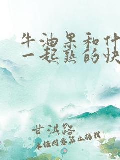 牛油果和什么放一起熟的快一点