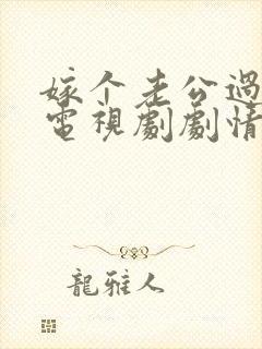 嫁个老公过日子电视剧剧情