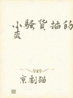 小骚货插的爽不爽