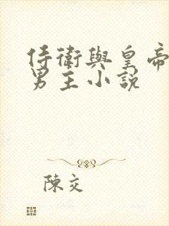 侍卫与皇帝的双男主小说