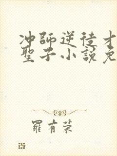 冲师逆徒才不是圣子小说免费观看