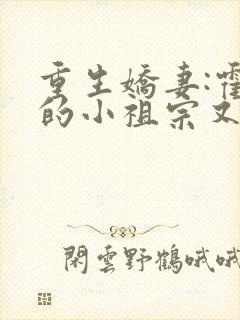 重生娇妻:霍爷的小祖宗又撒娇了免费阅读