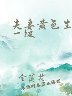 夫妻黄色生活片一级