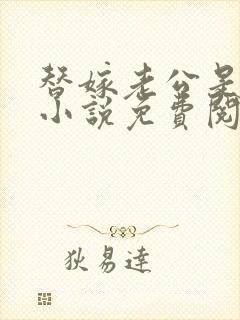 替嫁老公是大佬小说免费阅读