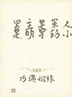 男主是军人女主是明星的小说