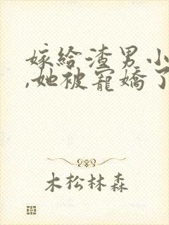 嫁给渣男小叔后,她被宠娇了