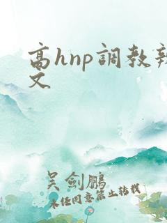 高hnp调教辣文