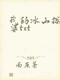 我的冰山总裁老婆txt