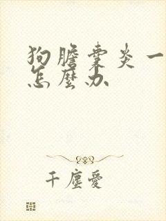 狗胆囊炎一直吐怎么办