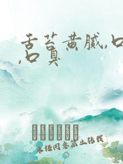 舌苔黄腻,口苦,口臭